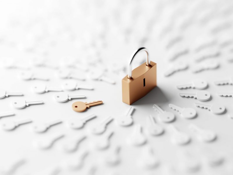 What Is Intellectual Property?